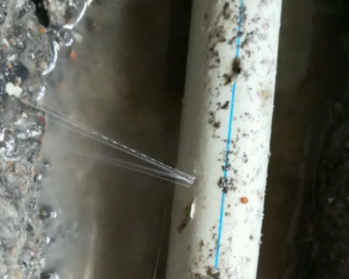 金东卫生间测漏水多少钱